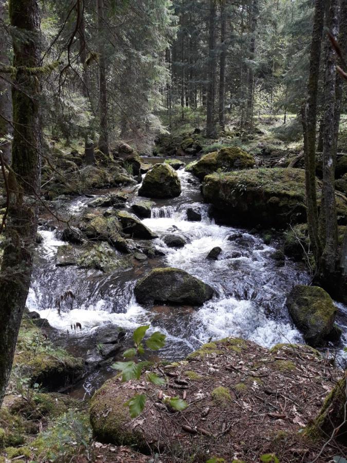Anno - Die Wohlfuehl - Idylle In Gruenbach_Kirchdorf Kirchdorf im Wald Exterior foto